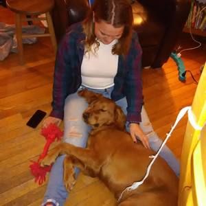 Meet your Posher, Abby